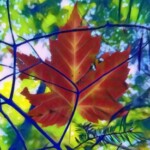 Profile picture of Patrick Kelly